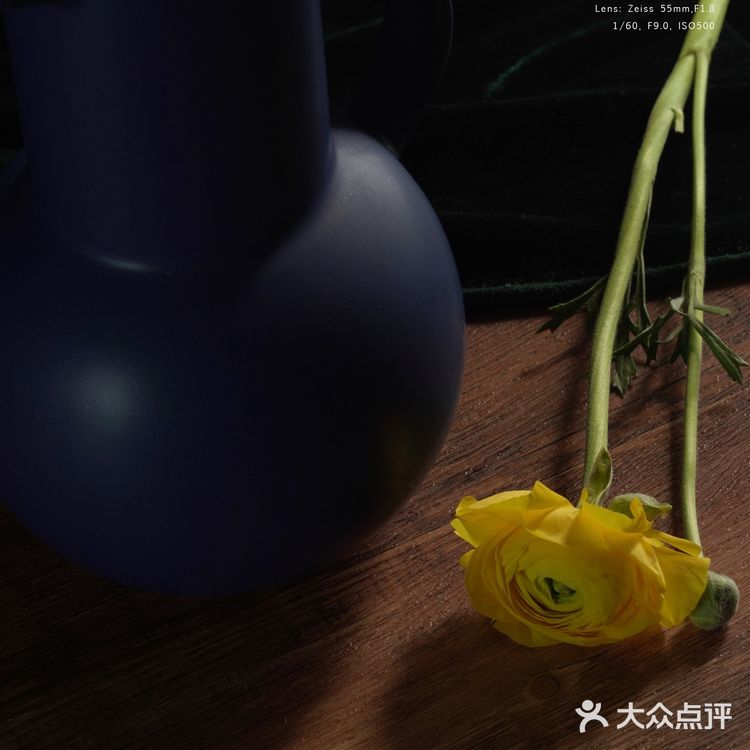今日份花事 · 关于花的原图