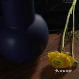 今日份花事 · 关于花的原图