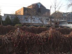 -斯多格书乡(北京大学畅春园店)
