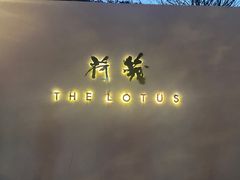 -几荷·恰似故人来(秀水广场店)