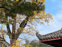-金堂县云顶石城风景区