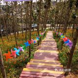 春日出游攻略3  云梯山的黄花铃木开啦