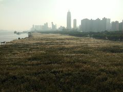 -武汉长江大桥
