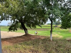 -盘龙城国家考古遗址公园