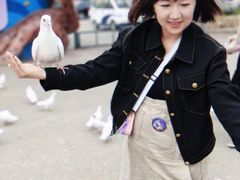 -泉城欧乐堡海洋极地世界