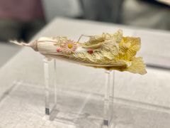 -河南博物院
