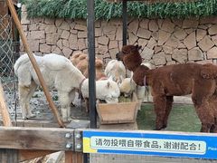 -静之湖度假区