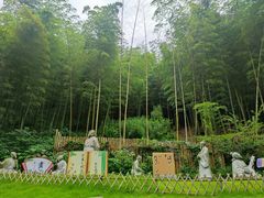 -宁波浙东大竹海景区