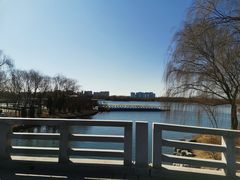 -大兴滨河森林公园