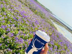 -合肥滨湖国家森林公园