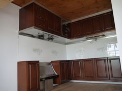 -金山农民画村-枫泾波兰倒置屋