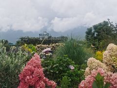 -猫米花园