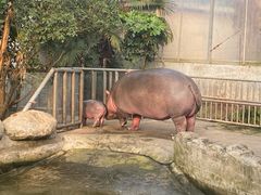 -宁波野生动物园