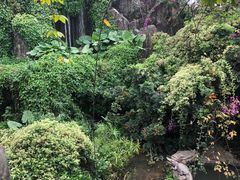 -长鹿旅游休博园