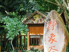 -野象谷景区