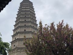 -法门文化景区