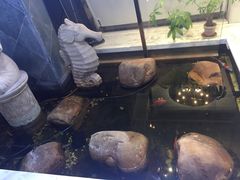 -乐尚音乐空间·钢琴·声乐·架子鼓(会展中心店)