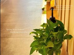 -宫七SPA·高端Massage(浦东大道店)