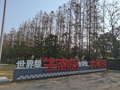 -上海长兴岛郊野公园