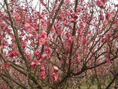 -蜀冈西峰生态公园