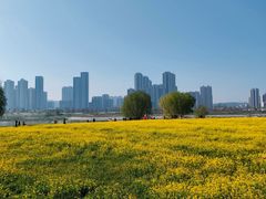-汉江湾体育公园