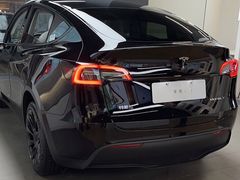 -TESLA 特斯拉(郑州正弘城体验店)