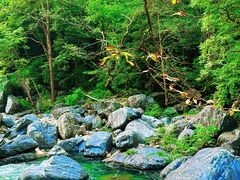 -石台牯牛降景区