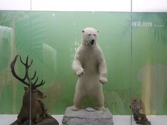 -国家自然博物馆