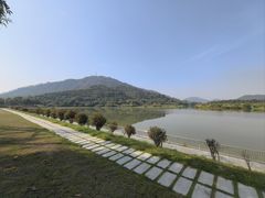 -风云岭森林公园