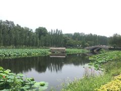 -白洋淀景区