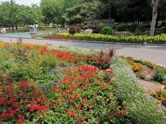 -长春公园(普阳街道)