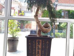 -正德楼果木烤鸭·渔家菜(东港店)