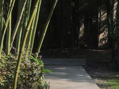 -胶囊画廊