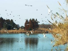 -苏州太湖国家湿地公园