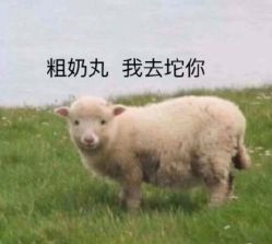 -美肌工坊皮肤管理