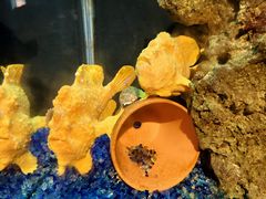 -海合安武汉极地海洋公园