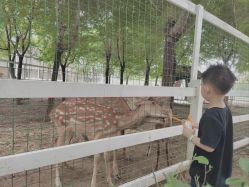-优沃得自然教育农场·冰雪乐园·生日会·研学