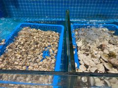 -曼格活海鲜·牛排自助(光明蓝鲸店)