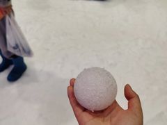 -Mr·Kuma酷么先生雪之乐园