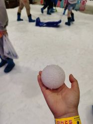 -Mr·Kuma酷么先生雪之乐园