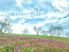 -花开海上生态园