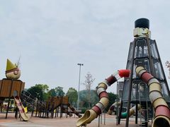 -枫香湖儿童公园