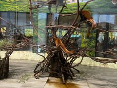 -南京汤山紫清湖生态旅游温泉度假区