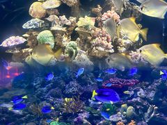 -南昌融创海世界