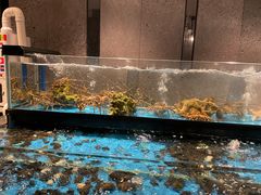 水产区-Mr·Fish鱼鲜生海鲜放题(银泰in99店)