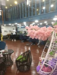 -Hair Glam 格拉姆造型旗舰店