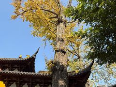 -虞山风景区