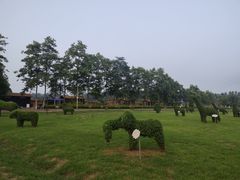 -夏河溪乡野公园