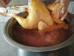 正经溜达鸡炖麻土豆/榛蘑-庆岭迎宾园正宗活鱼馆