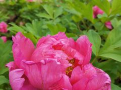 -哈尔滨文化公园